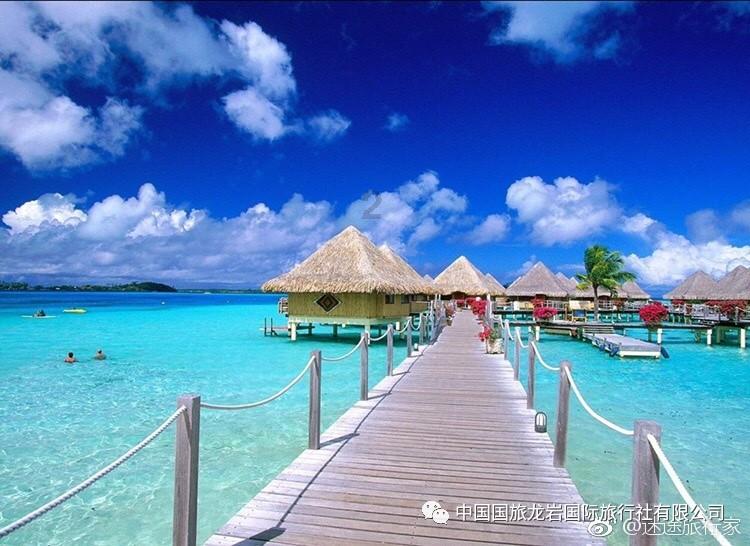 救援蓝色小鱼